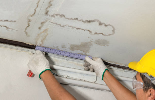 Reliable Burst Pipe Cleanup contractor in La Jolla, CA by Local Water Damage Repair